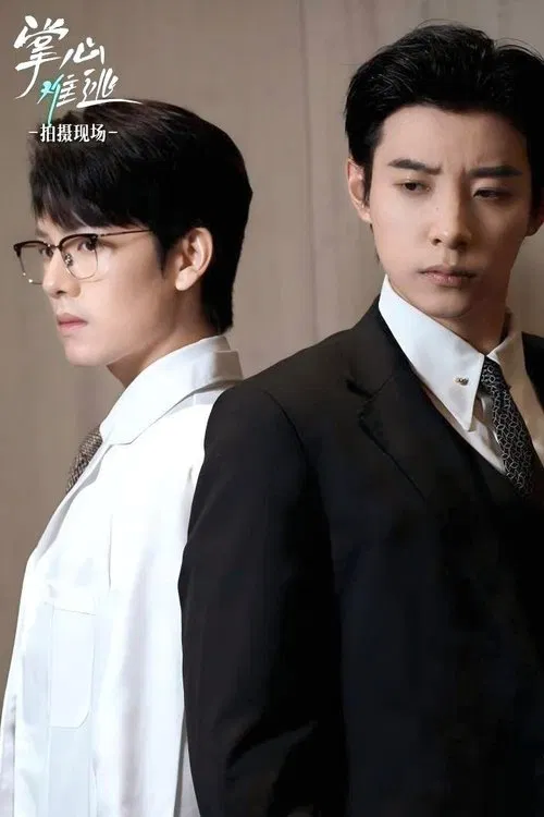 主妇之战 tv show poster
