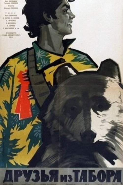 Friends From the Camp movie poster
