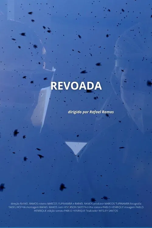 Revoada movie poster