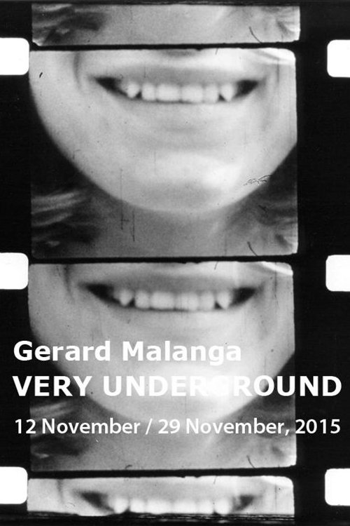 Gerard Malanga's Film Notebooks movie poster