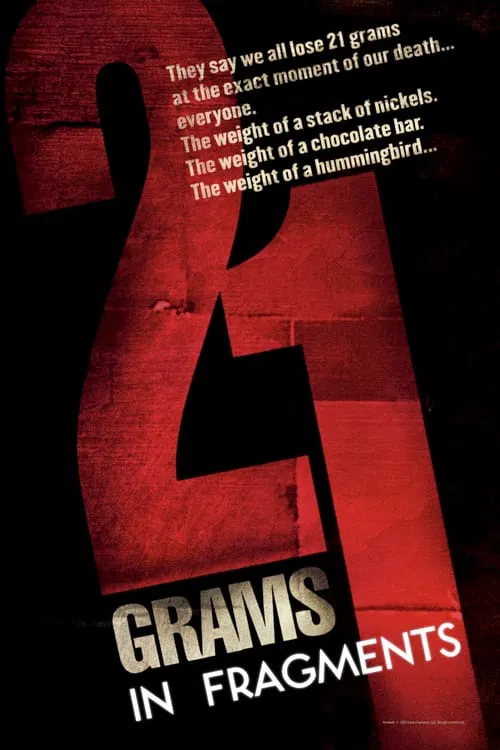 21 Grams: In Fragments movie poster