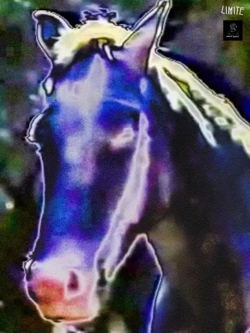 Cripta III movie poster