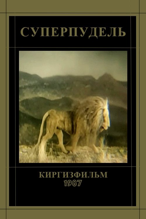 Superpoodle movie poster