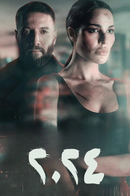 2024 tv show poster