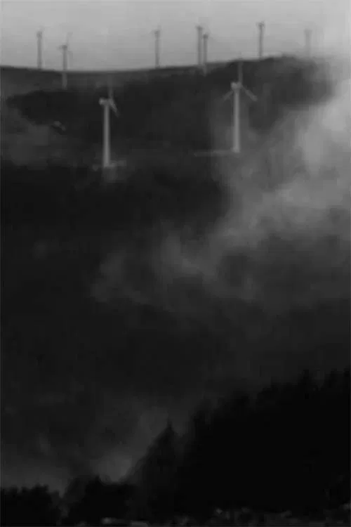 O prezo da dote movie poster