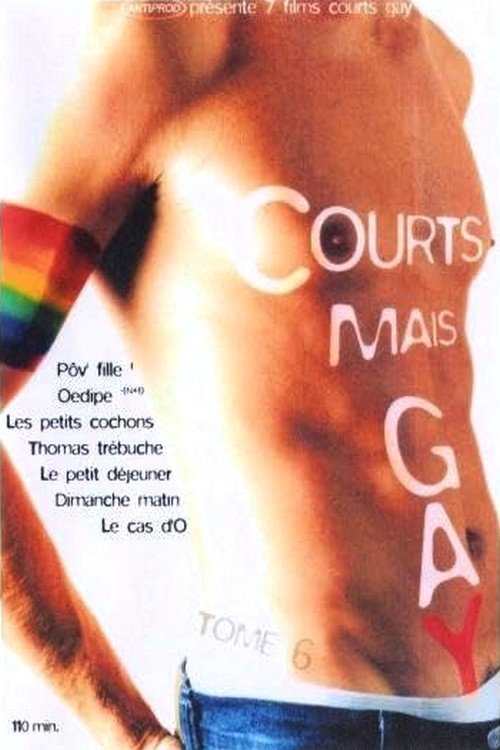 Courts mais Gay : Tome 6 movie poster