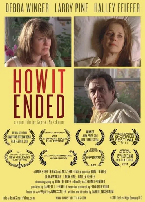 How It Ended movie poster