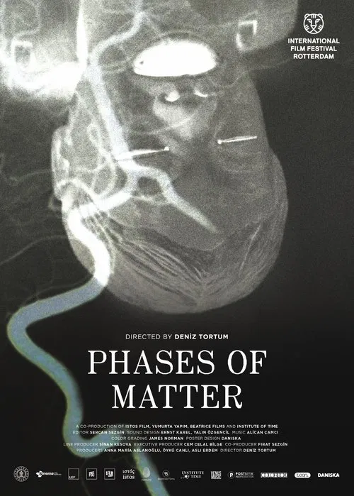 Poster do filme Phases of Matter