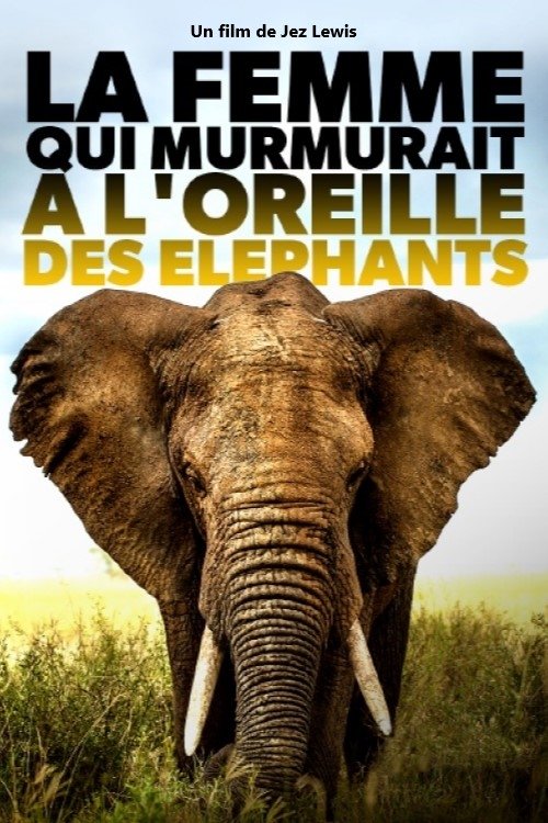 Poster do filme Elephant Mother