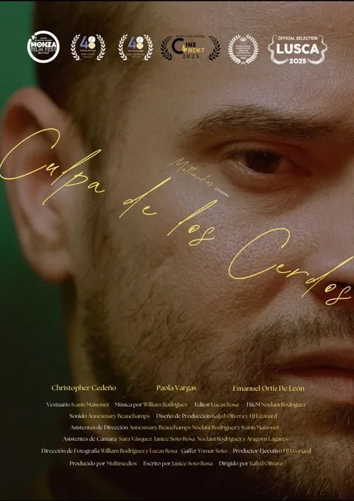 Blame it to the Pigs movie poster