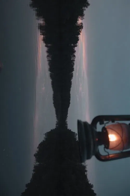 Firefly movie poster
