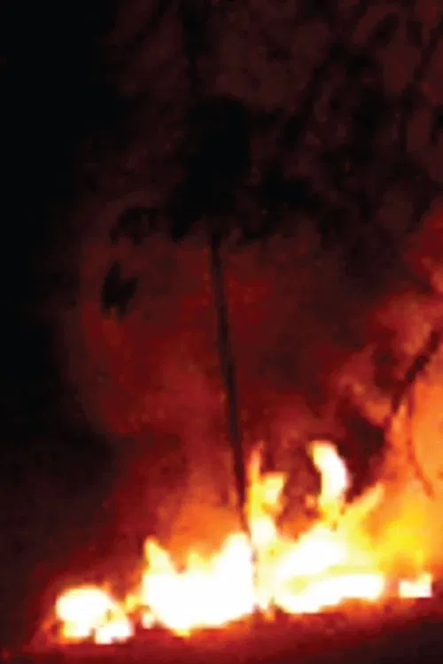 Every Flame Tree is a Burning Island movie poster