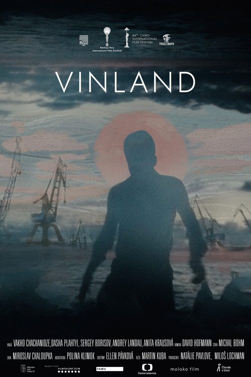 Vinland movie poster