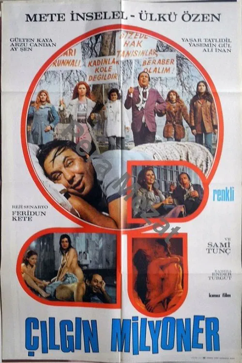 Çılgın Milyoner movie poster