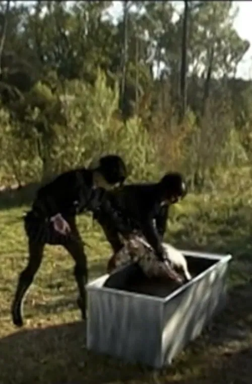 Body Double 16 movie poster