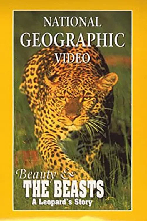 Beauty and the Beasts: A Leopard's Story movie poster