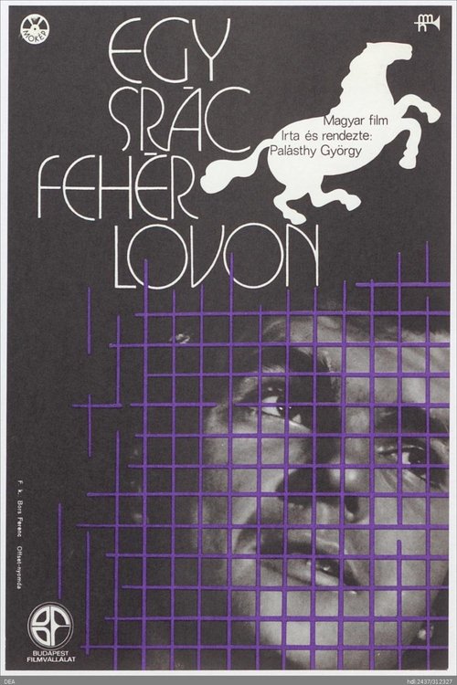 A Lad on White Horse movie poster