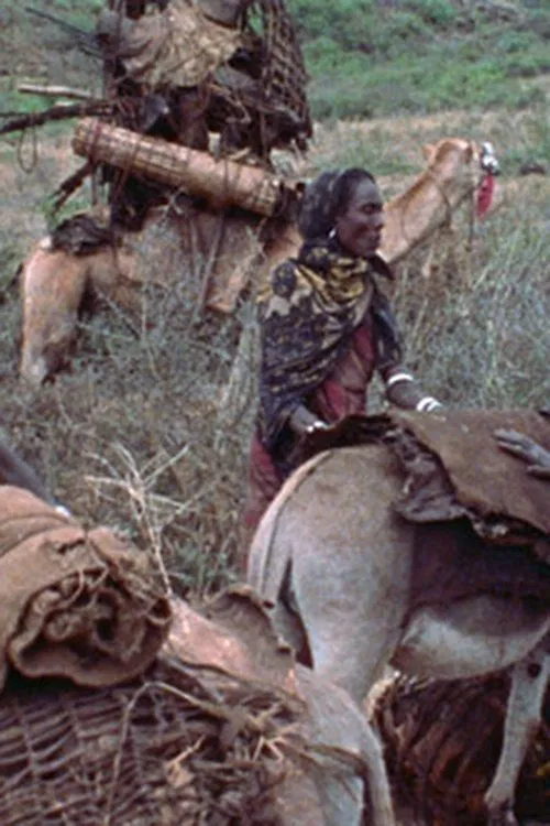 Boran Women movie poster