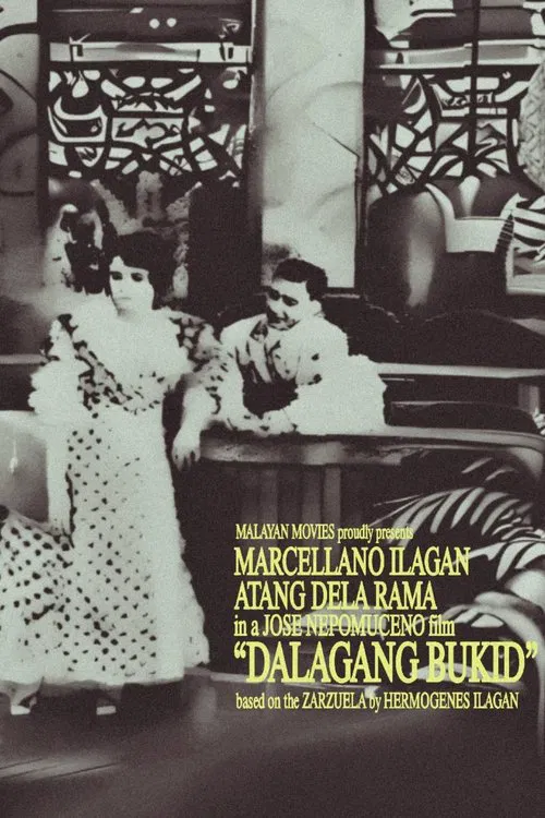 Country Maiden movie poster