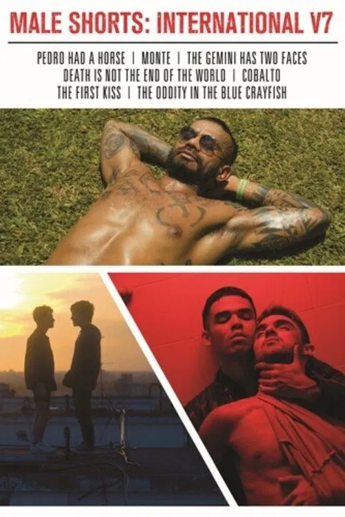 Poster do filme Male Shorts: International V7