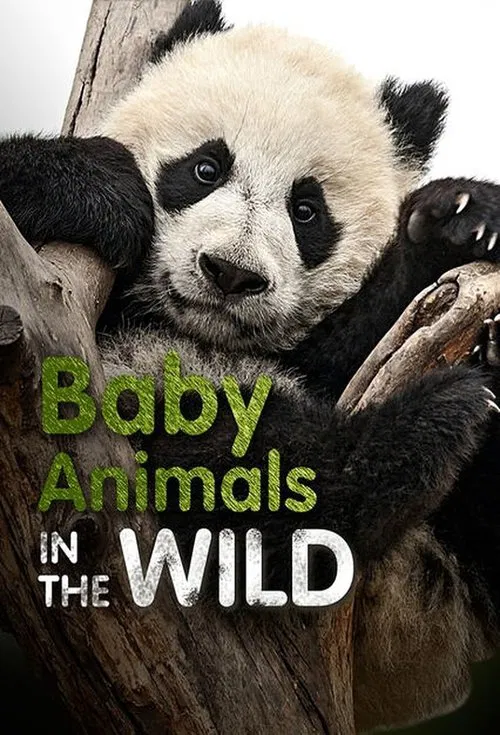 Baby Animals In The Wild tv show poster
