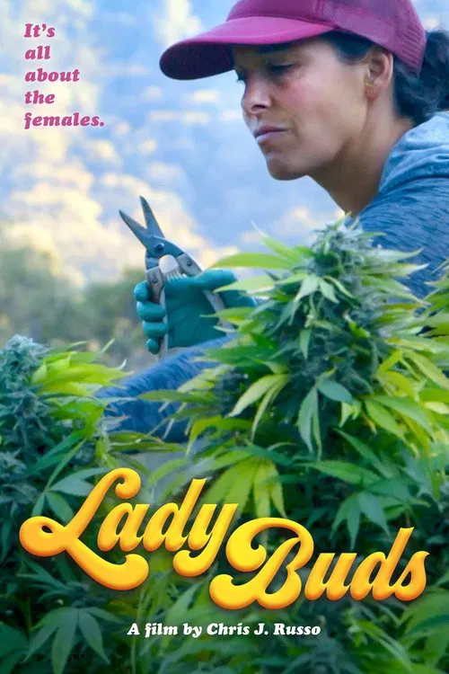 Lady Buds movie poster