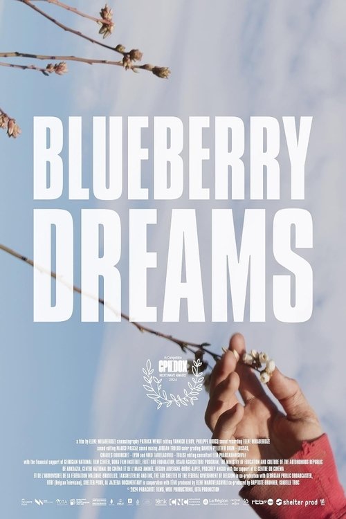 Blueberry Dreams movie poster