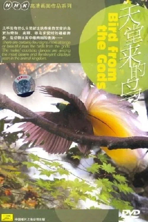 Birds from the Gods movie poster