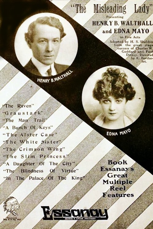 The Misleading Lady movie poster