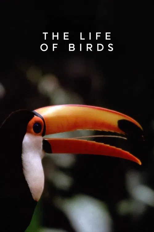 The Life of Birds tv show poster