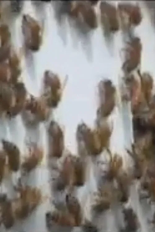 Every Third Bite movie poster