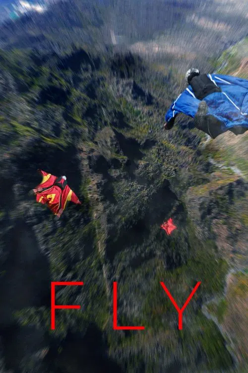 Fly movie poster