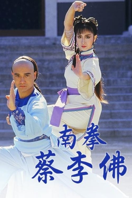 The Rise of A Kung Fu Master tv show poster