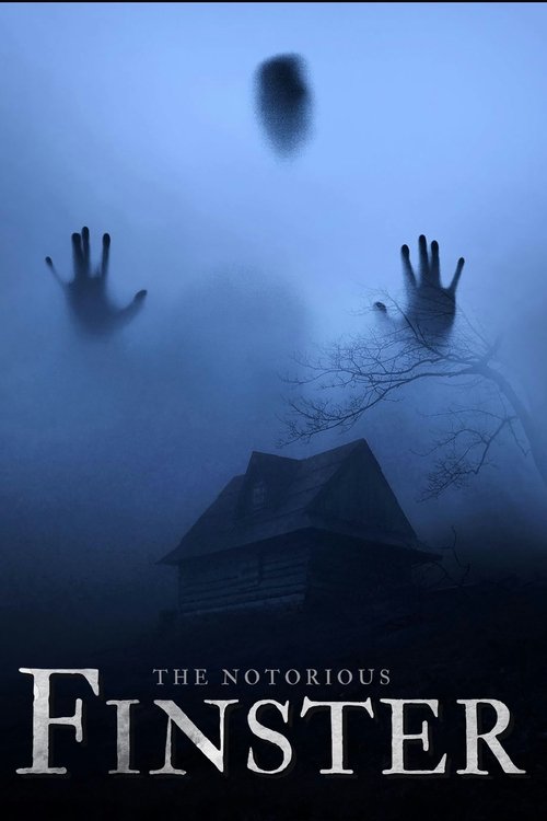 The Notorious Finster movie poster