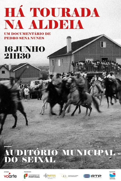 Há Tourada na Aldeia movie poster