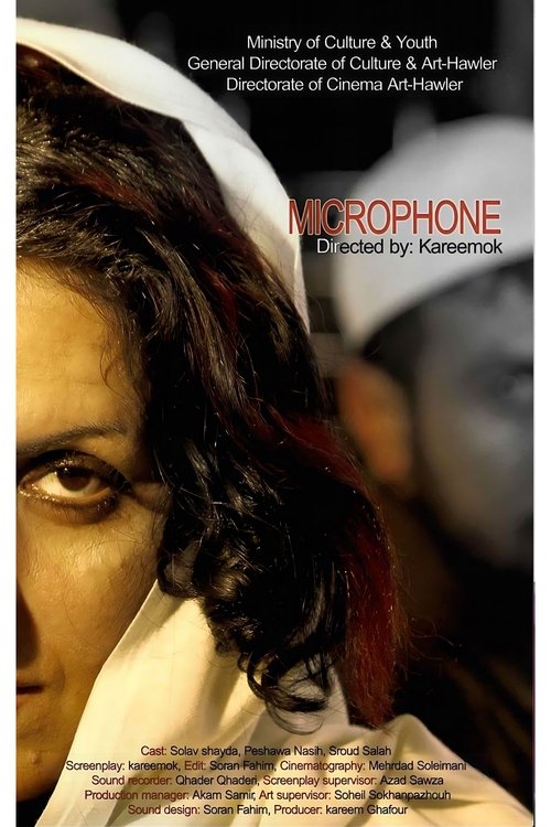 Poster do filme Microphone