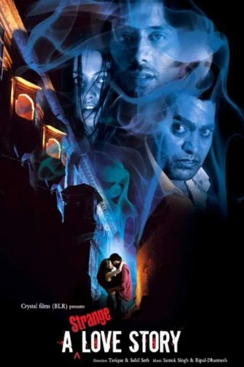 A Strange Love Story movie poster