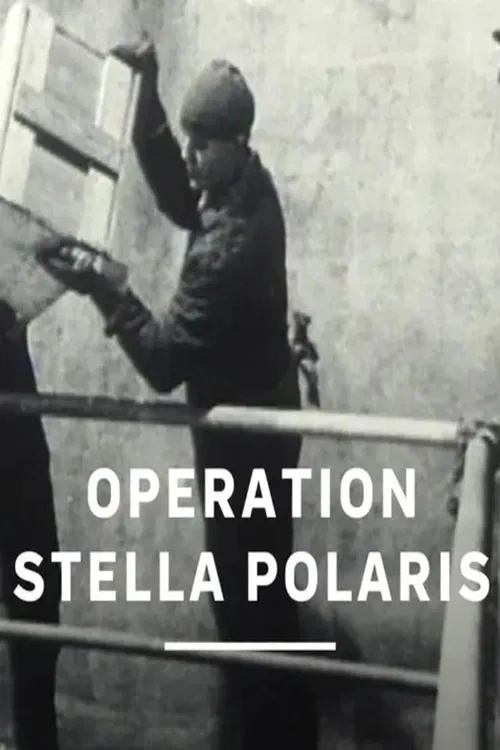 Operation Stella Polaris movie poster