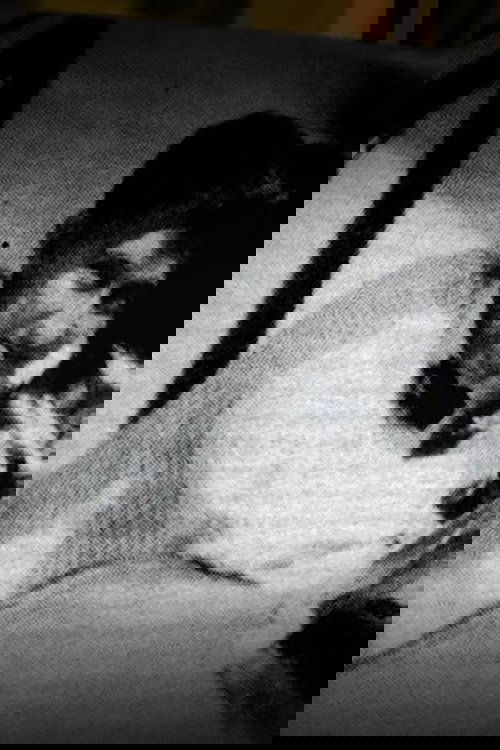 Juan E. Viguié profile picture