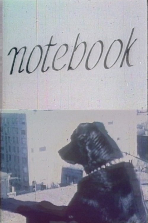 Notebook movie poster