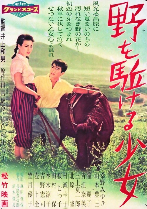 Farewell to Summer movie poster
