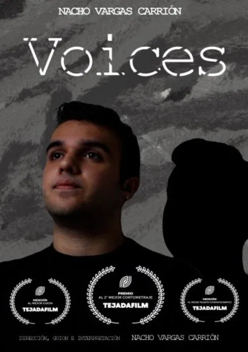Voices movie poster