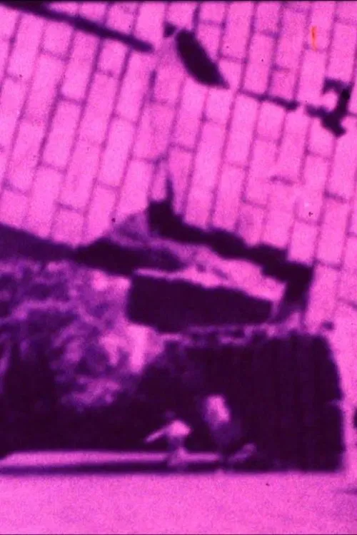 Something is Seen But One Doesn't Know What movie poster