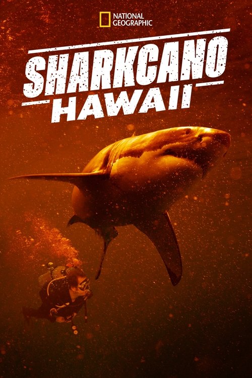 Sharkcano: Hawaii movie poster