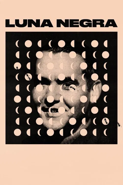 Poster do filme Luna Negra