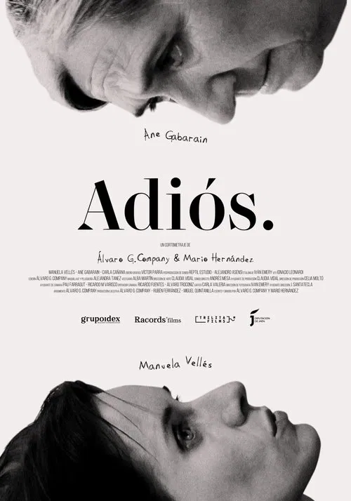 Adiós movie poster