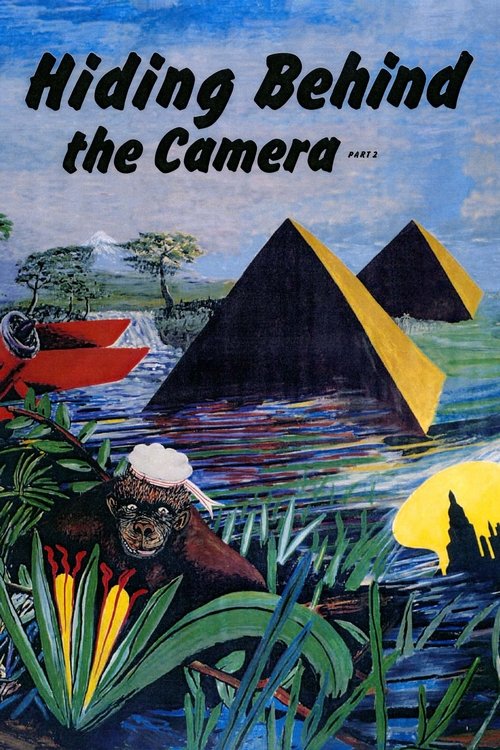 Hiding Behind the Camera, Part 2 movie poster