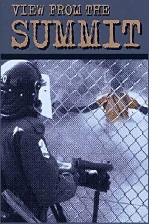 View from the Summit movie poster