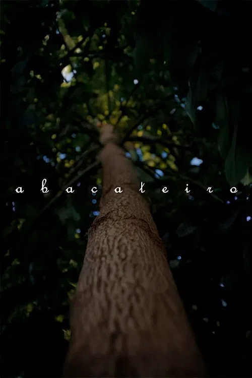 Abacateiro movie poster