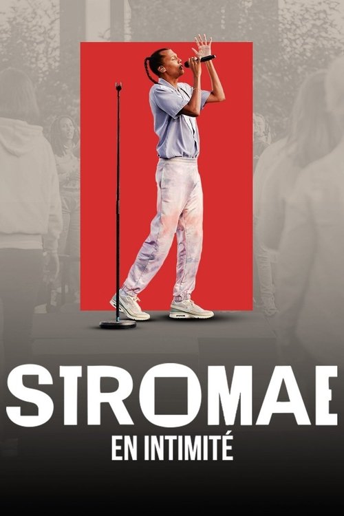 Stromae en intimité movie poster